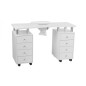 (WK-M001) MANICURE TABLE WITH DUST COLLECTION DISTAL