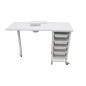 (WK-M003) MANICURE TABLE WITH TROLLEY WITH DUST COLLECTION ULNAR