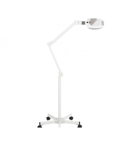 (1005) MAGNIFIYNG LAMP LEDS AMPLI