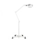 (1005) MAGNIFIYNG LAMP LEDS AMPLI