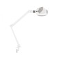 (1005T) MAGNIFIYNG LAMP LEDS AMPLI