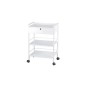 (1019A) BEAUTY TROLLEY EASY