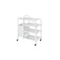 (1031) BEAUTY TROLLEY MOBILE