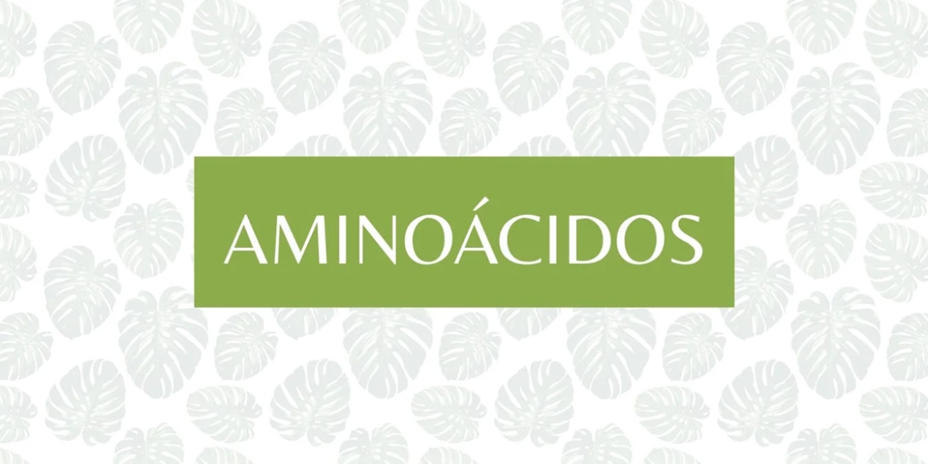 Aminoácidos