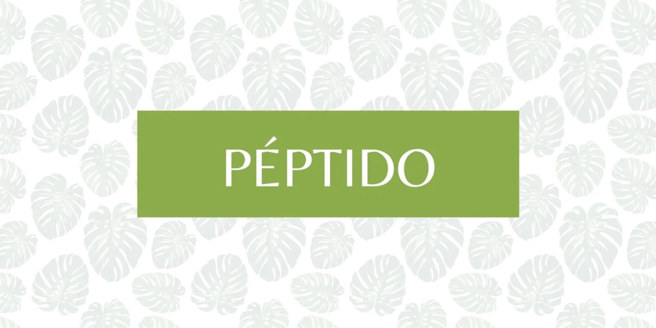 Péptido